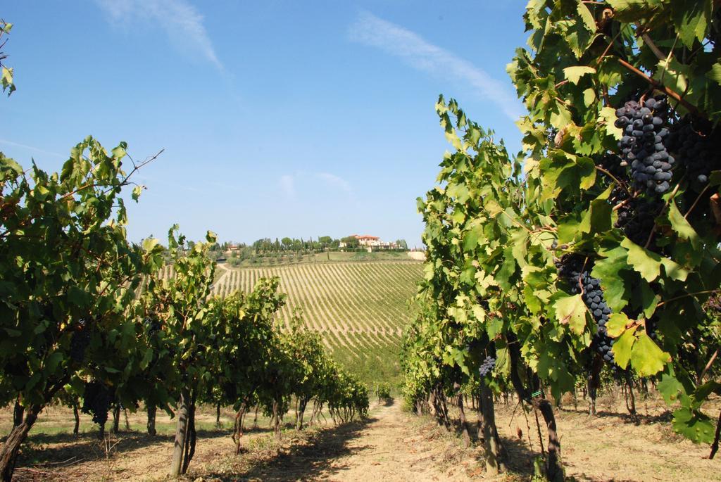 Agriturismo Isola Verde Cerreto Guidi Zewnętrze zdjęcie
